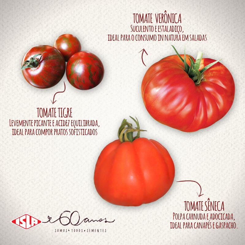 abc-tomate1