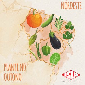 Mapa De Cultivo De Outono Vamos Comer Melhor