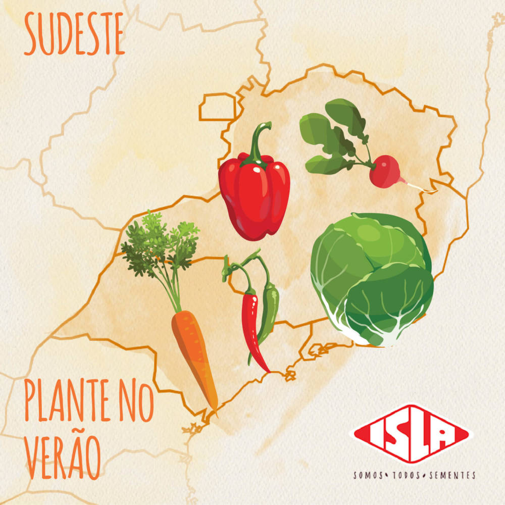 Mapa de cultivo Veja o que plantar na sua região durante o verão