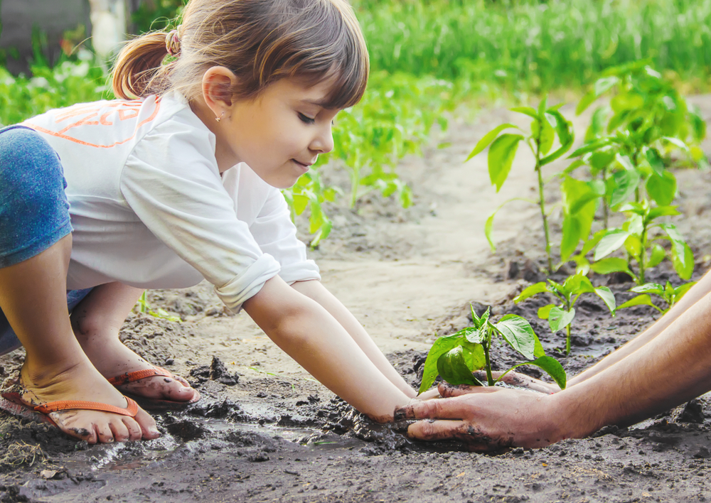 Horta das crianças: dicas para plantar com os pequenos